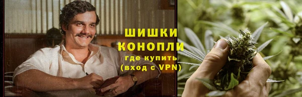 винт Аркадак