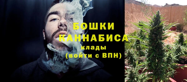 винт Аркадак