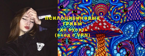 винт Аркадак