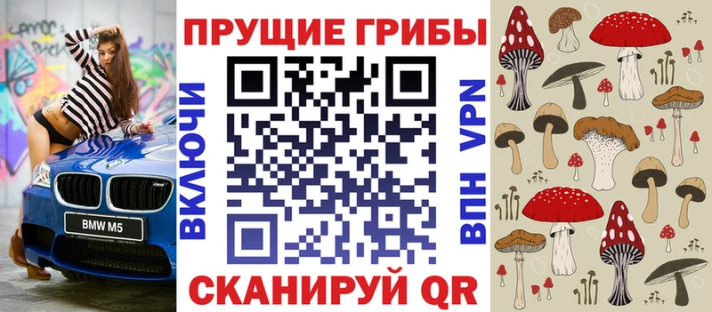 Псилоцибиновые грибы прущие грибы  где продают   Павлово 