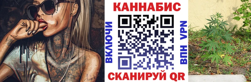 купить наркоту  Павлово  Канабис семена 